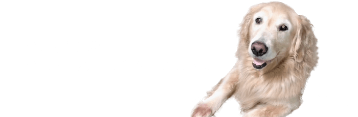 お見積り無料!お気軽にお問い合わせください!LINEでもお問い合わせOK!